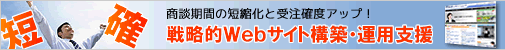 戦略的Webサイト構築・運営支援