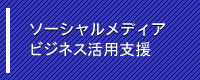 ソーシャルメディア活用支援
