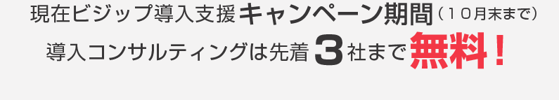 現在ビジップ導入支援キャンペーン期間（１０月末まで） 導入コンサルティングは先着３社まで無料！