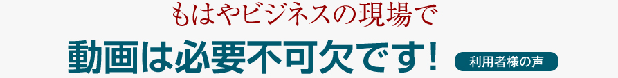 動画は必要不可欠です